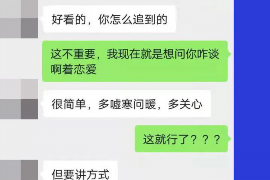 嘉鱼嘉鱼专业催债公司，专业催收